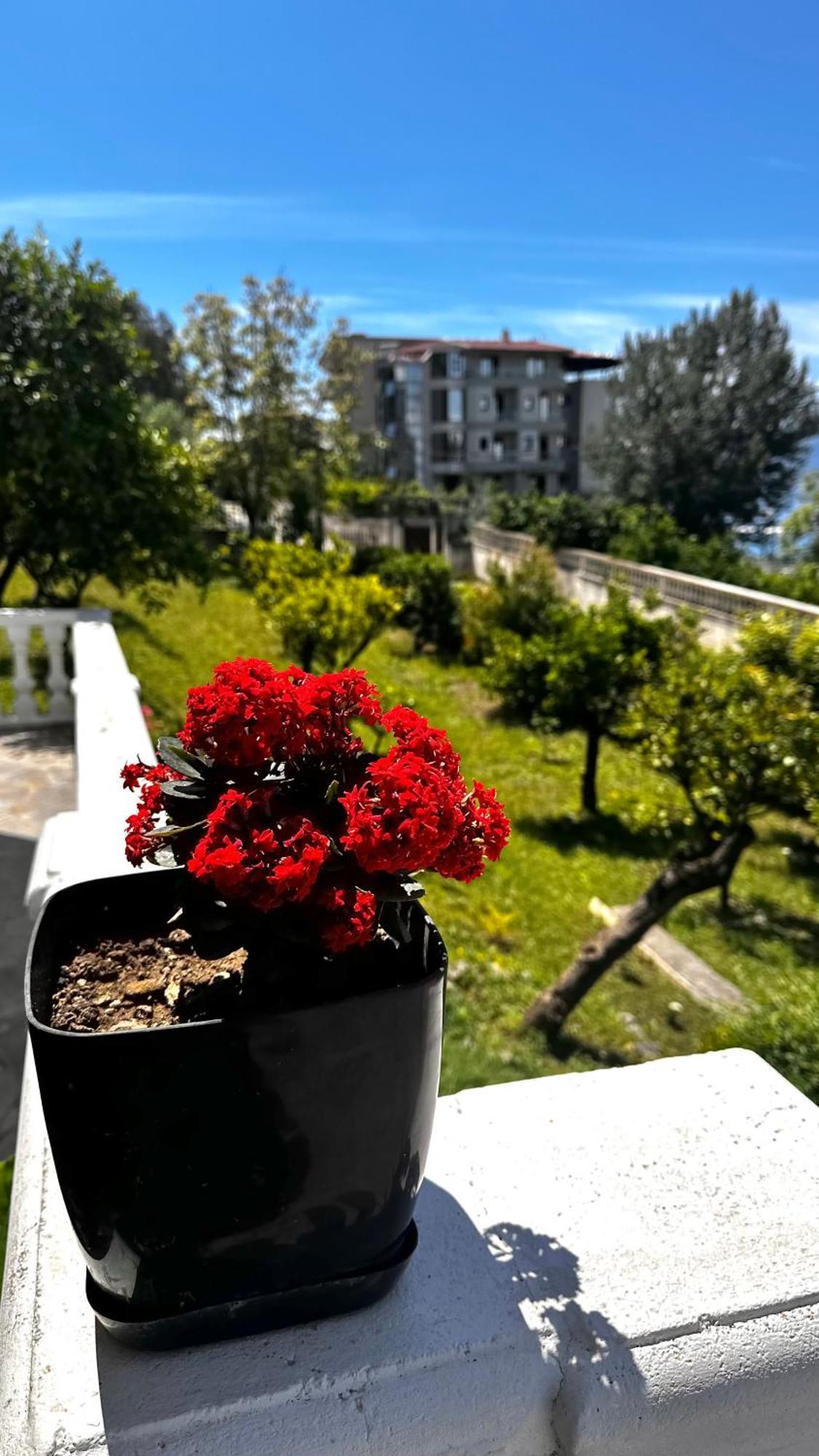 Villa Mare - For Families & Groups Vlore Bagian luar foto